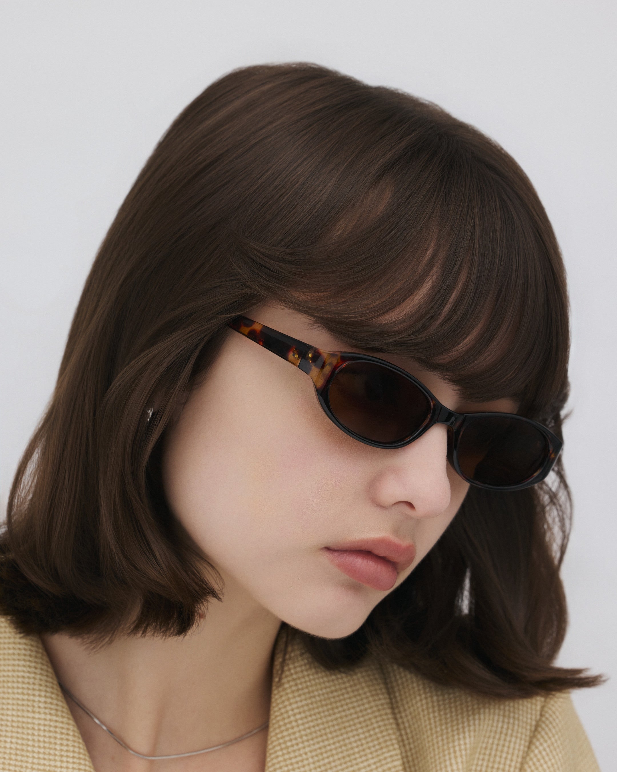 #color_tortoiseshell×brown