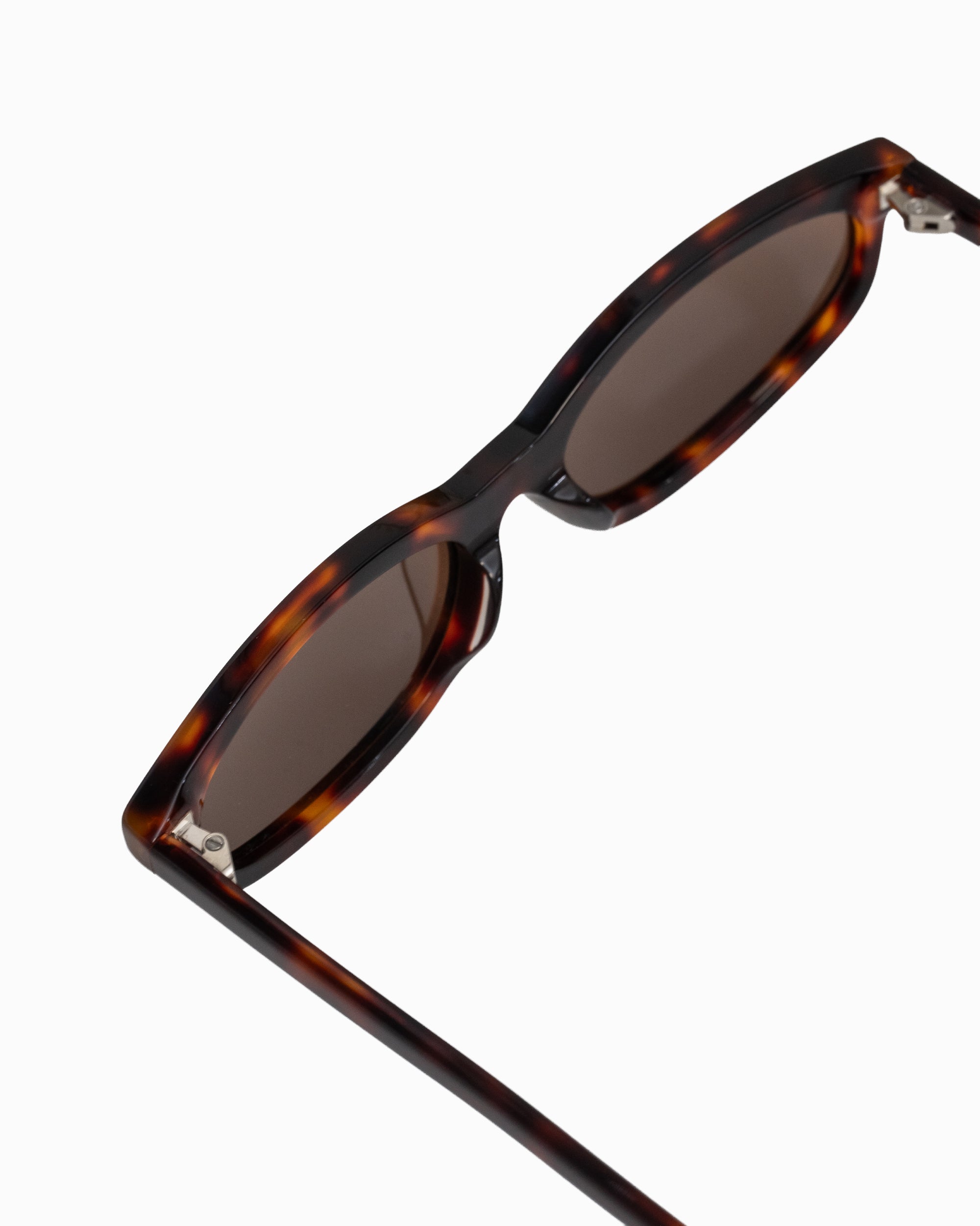 #color_tortoiseshell×brown