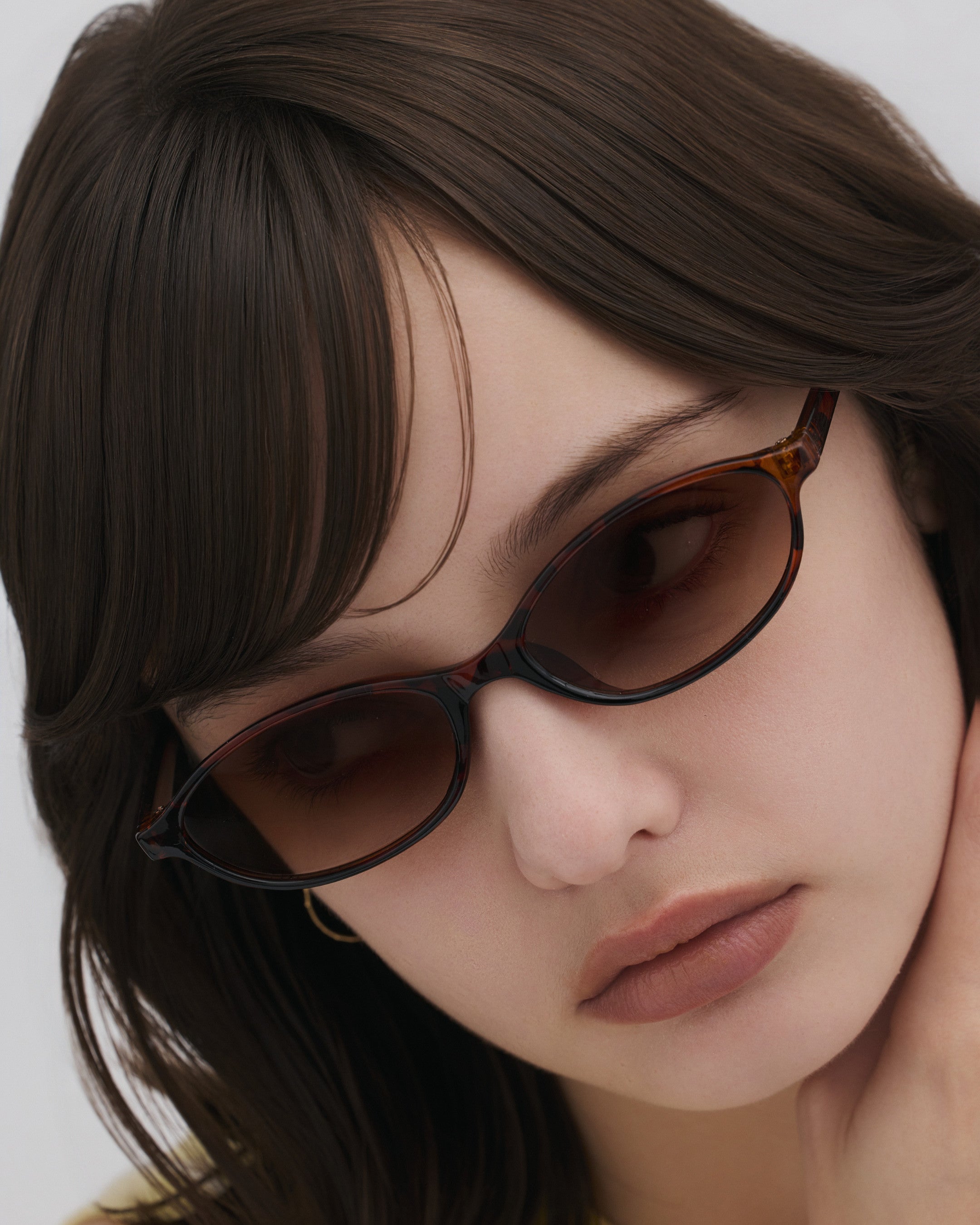 #color_tortoiseshell×brown