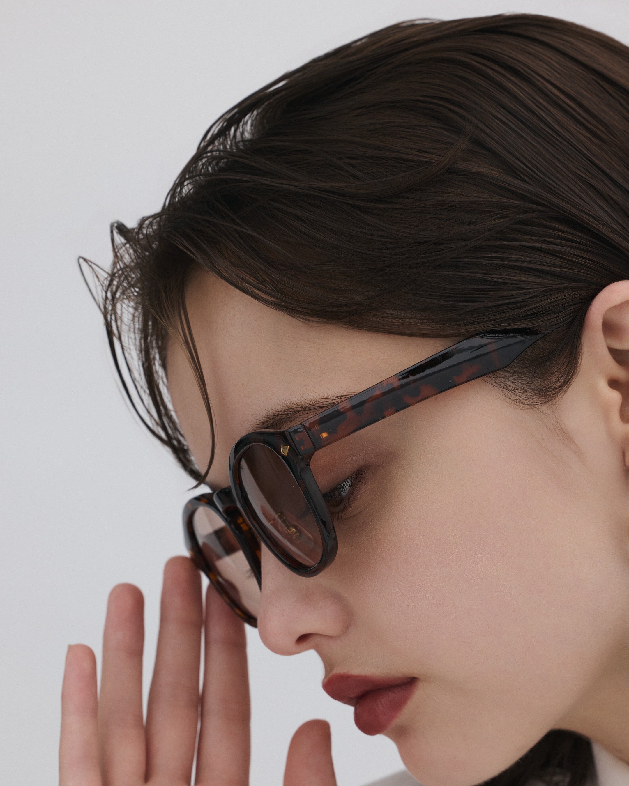 #color_tortoiseshell×brown