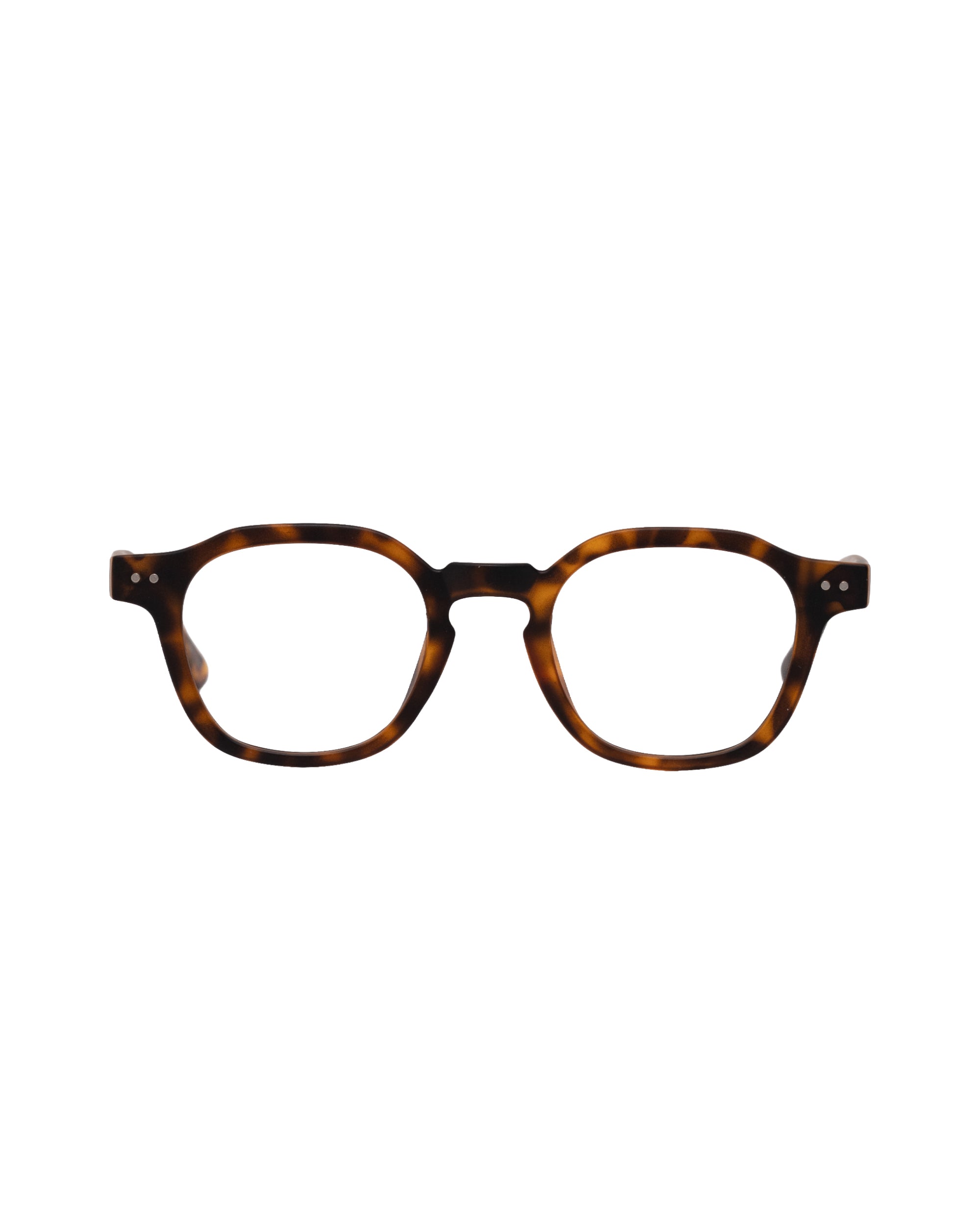 #color_tortoiseshell×clear