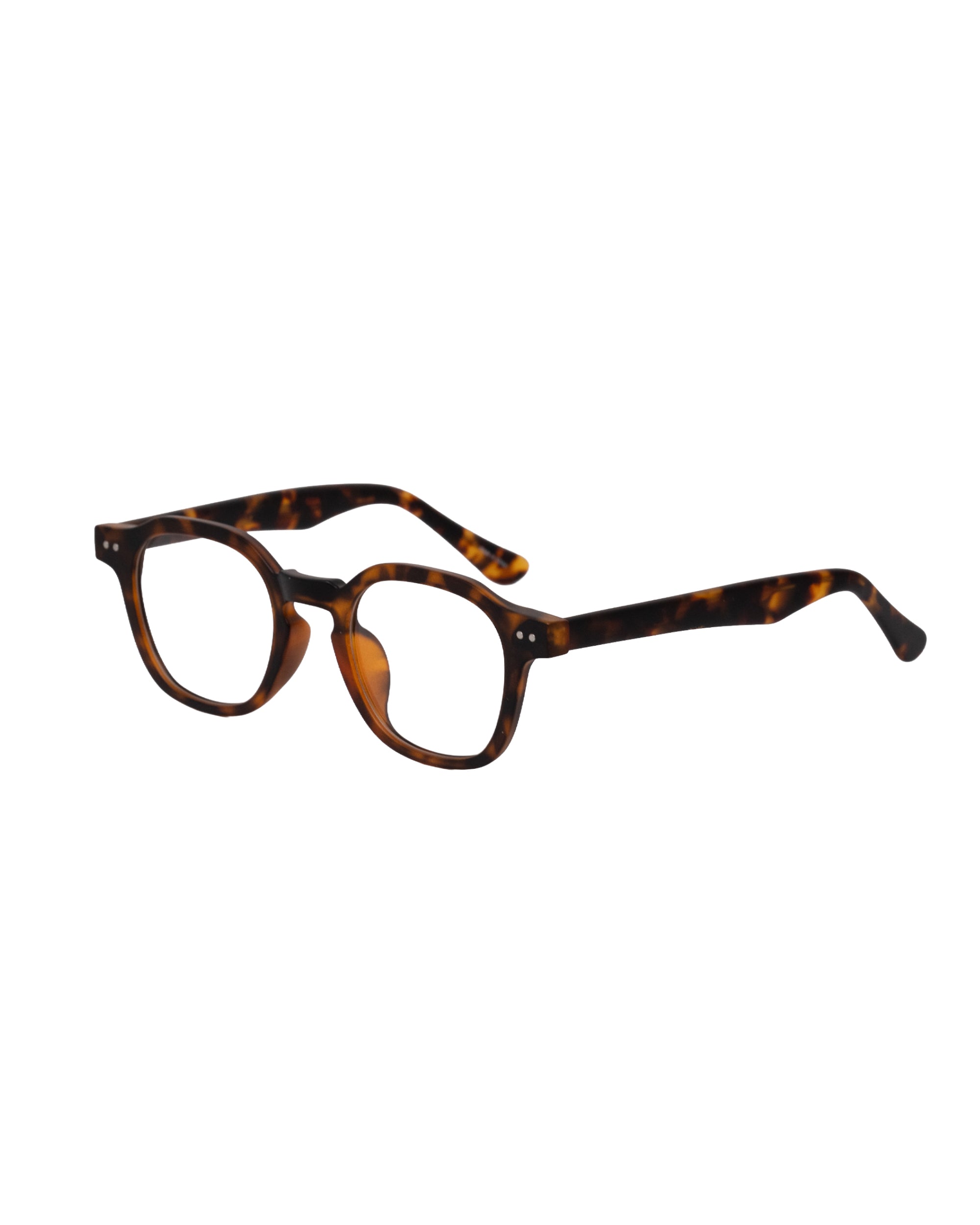 #color_tortoiseshell×clear