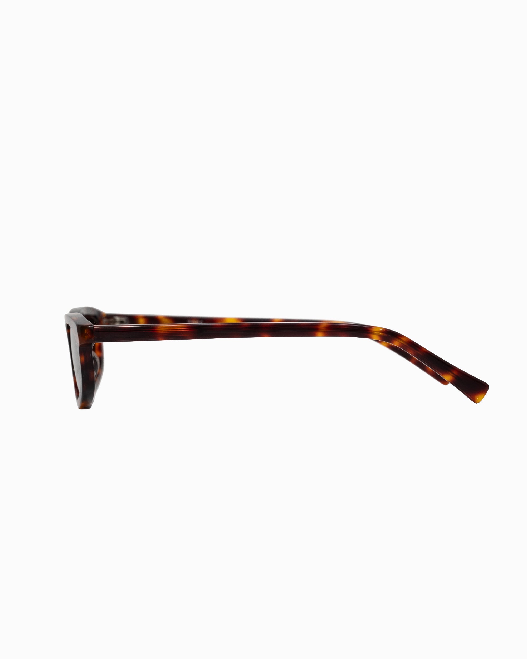 #color_tortoiseshell×brown