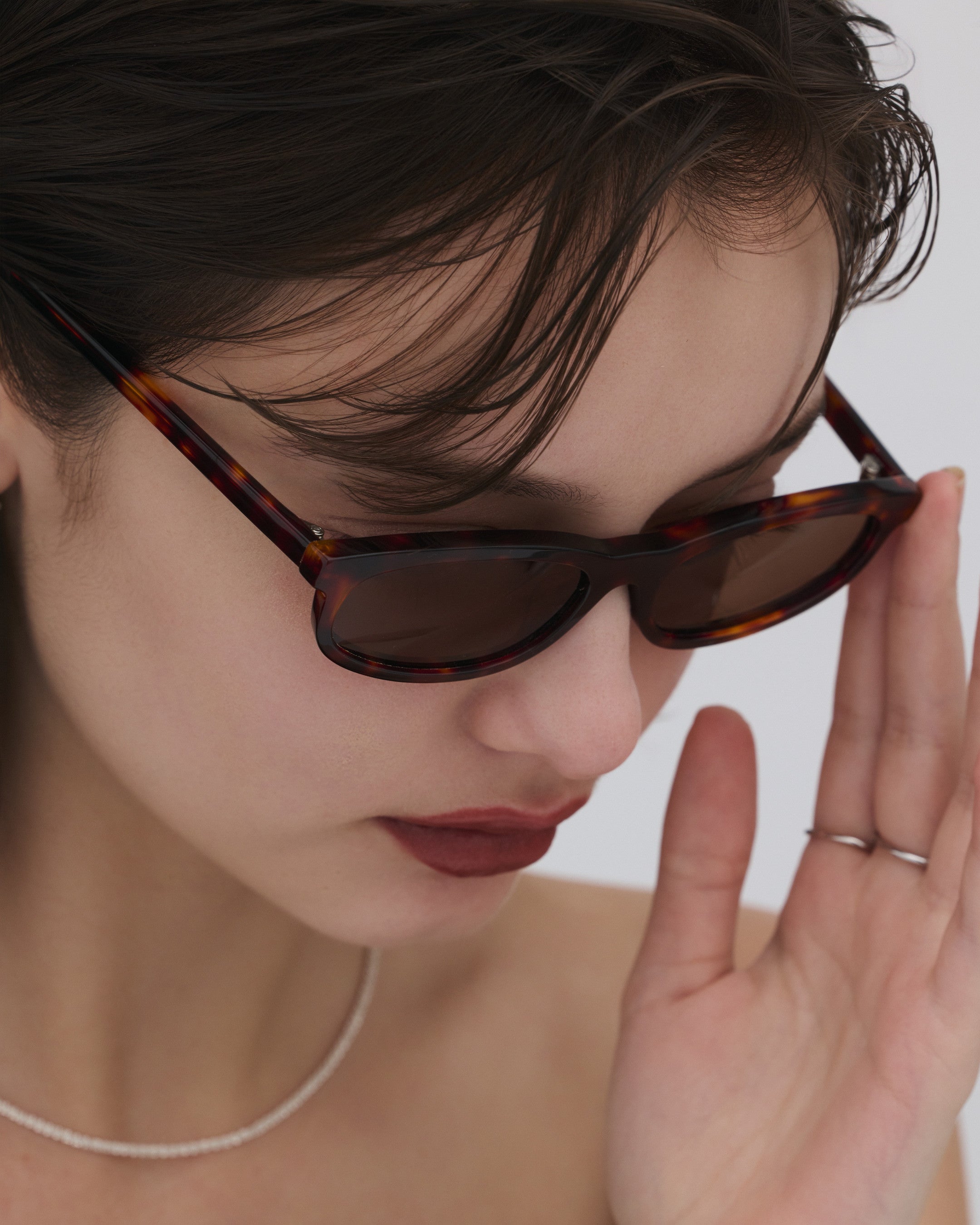 #color_tortoiseshell×brown
