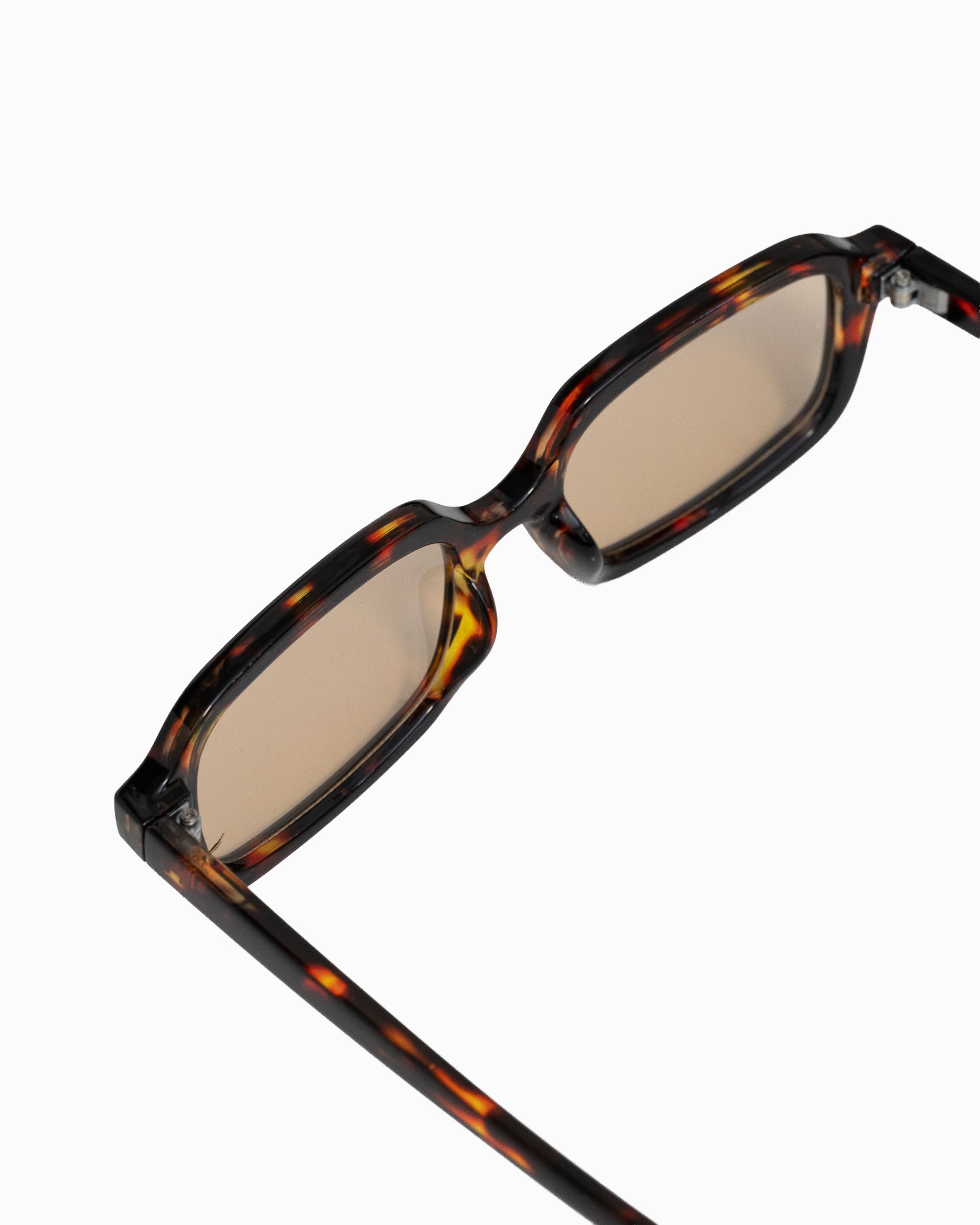 #color_tortoiseshell×brown