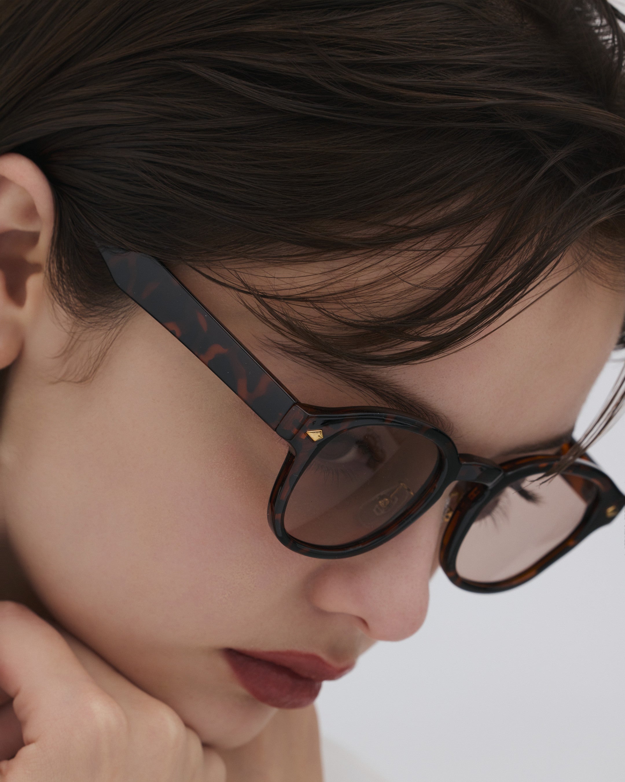 #color_tortoiseshell×brown