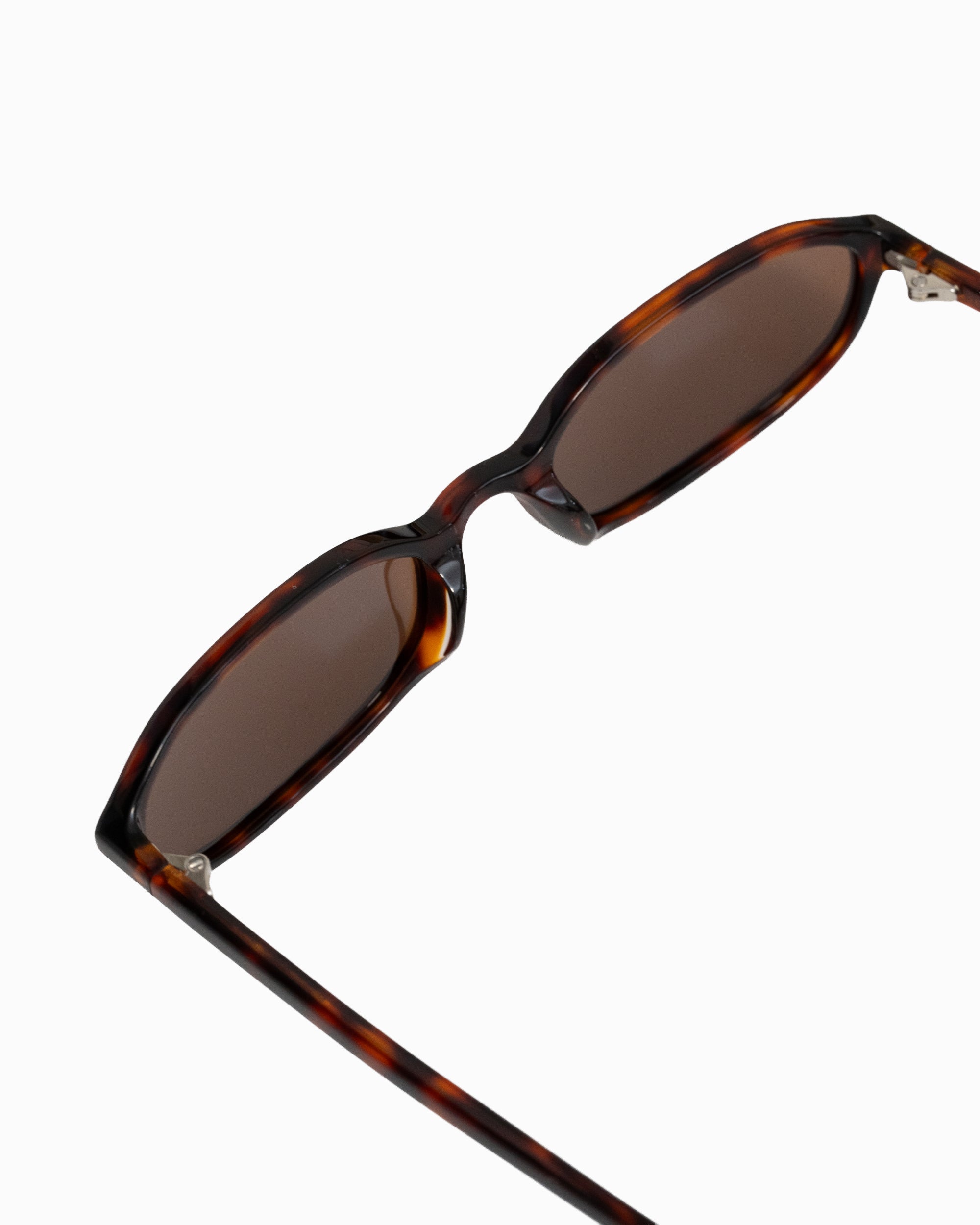 #color_tortoiseshell×brown